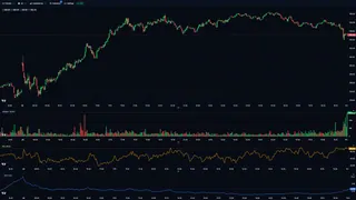 Alpaca-Main – Real-Time Trading Boilerplate - Thumbnail 2